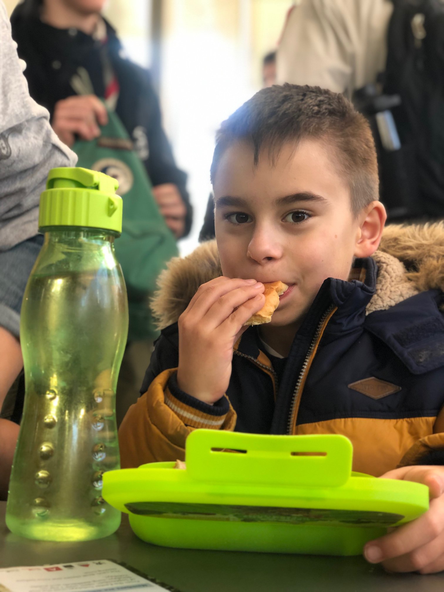 Sint-Martinus den XIIde - Zoo Antwerpen Kapoenen